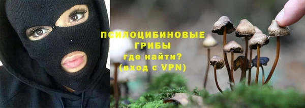 a pvp Магас