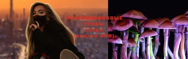 2c-b Медвежьегорск