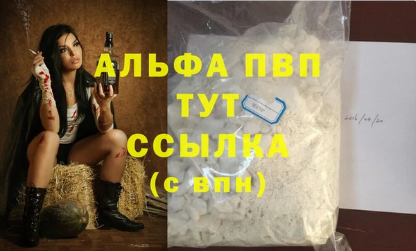 ПСИЛОЦИБИНОВЫЕ ГРИБЫ Ладушкин